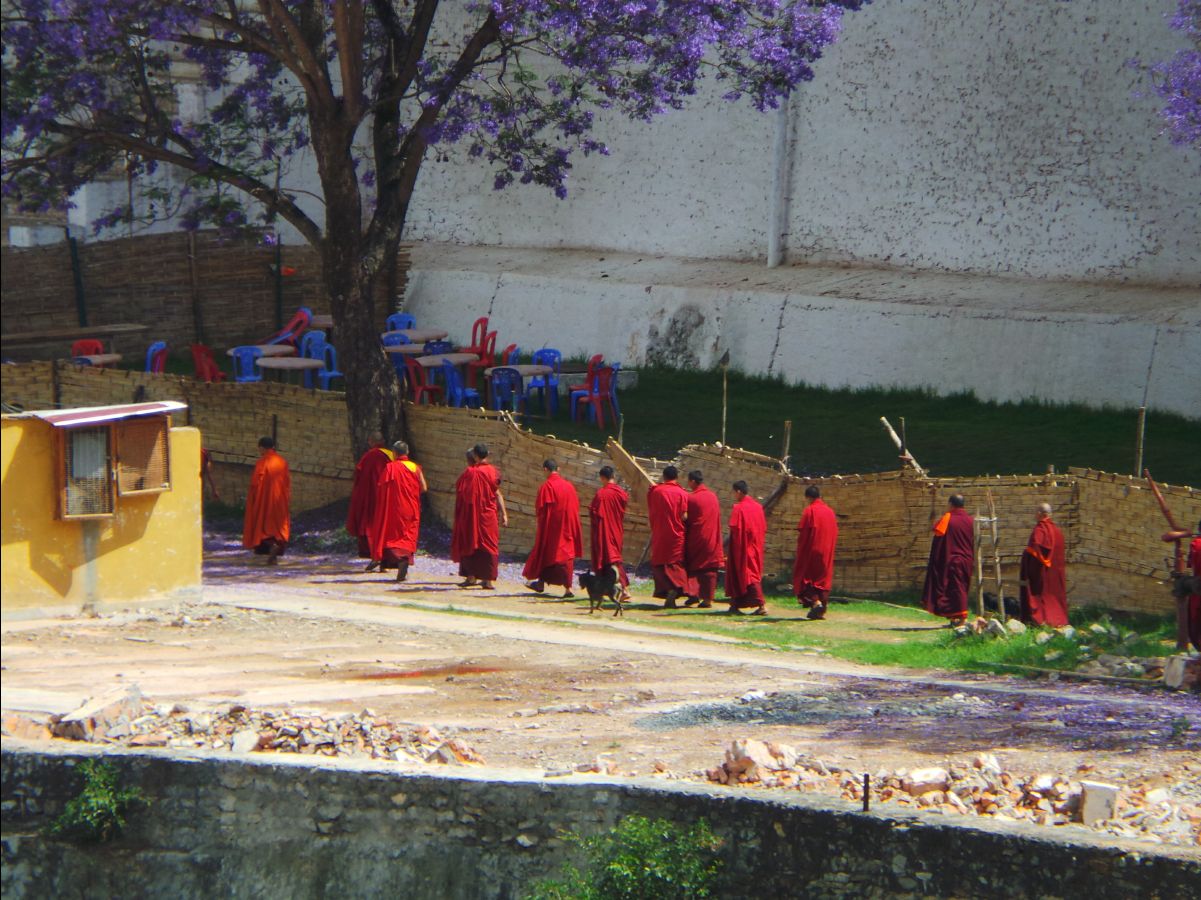 Punakha Dzong12